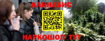 прущие грибы Будённовск