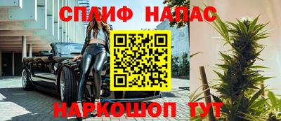 прущие грибы Будённовск